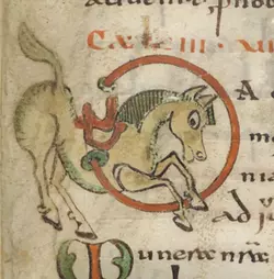 horse illuminated.webp