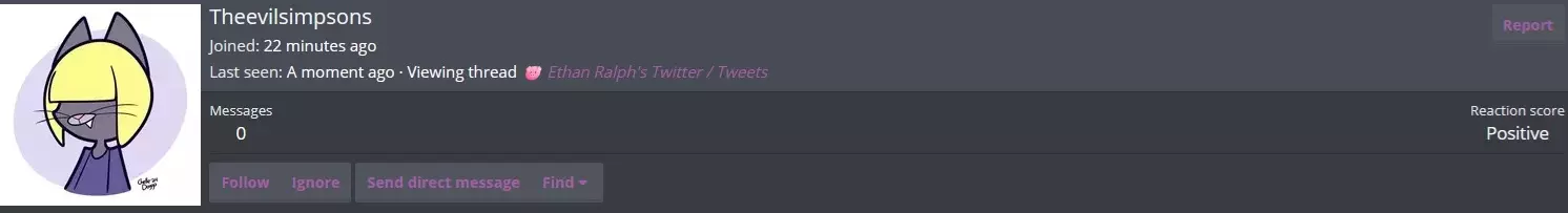 Kiwi Sock Example 8.webp