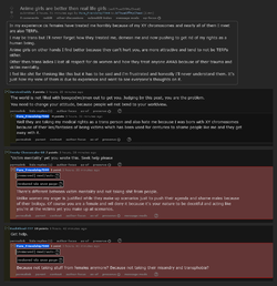 Screenshot 2025-05-25 at 22-54-01 Anime girls are better then real life girls.webp