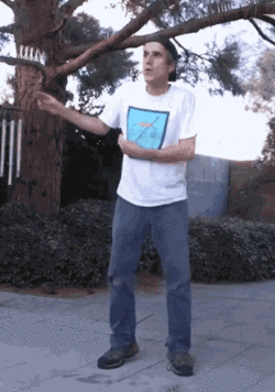 terry-davis-wobble.gif
