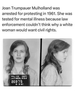 1748233786517.webp
