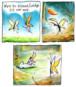 PBF255-Different.webp