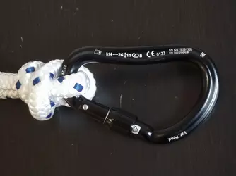 Carabiner 1.webp