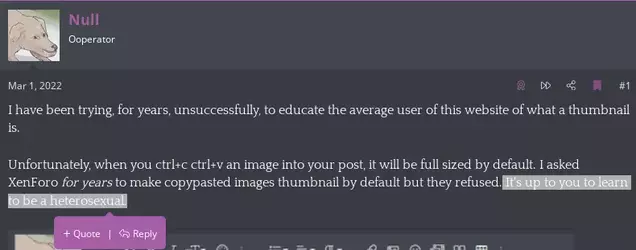quote reply 2.webp