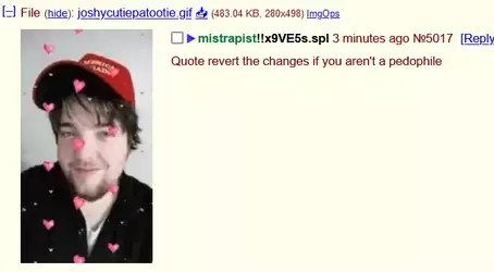 1748299533008.webp