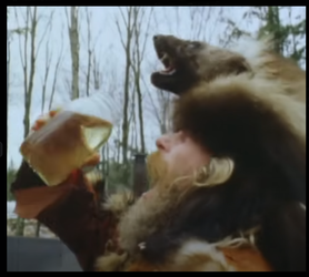 image-12.webp