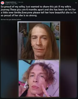 tranny retard.webp