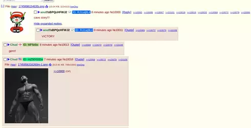 1748356027668.webp