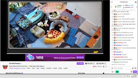 Screenshot 2025-05-28 014601.webp