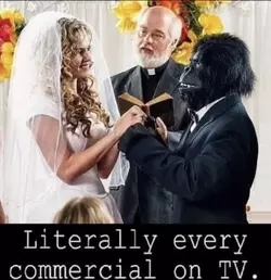 1748120314131900.webp