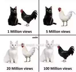 1748424843962.webp