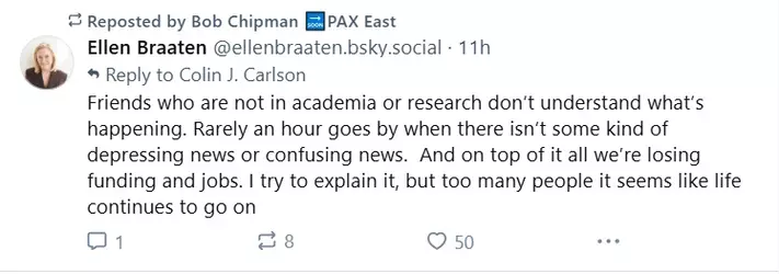 academia.webp
