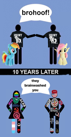 b91.webp