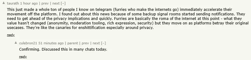 1748464374698.webp