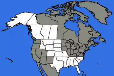 170724_jl_cahn_diagolon_map.webp