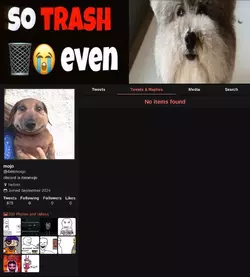 1748473004277.webp
