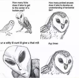 1748501362611193.webp