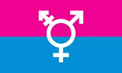 Trans_Flag_Lindsay_Design.webp