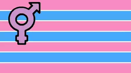 TransPrideFlagSF.webp