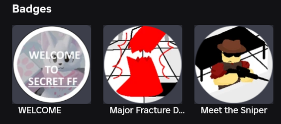 Screenshot 2025-05-29 at 15-55-51 LeonGauliter - Roblox.webp