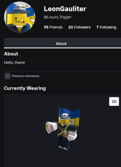 Screenshot 2025-05-29 at 15-55-29 LeonGauliter - Roblox.webp