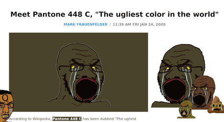 pooj.webp