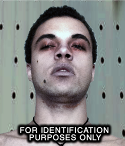 post mortem photo.webp