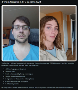 trannyreddit2.webp