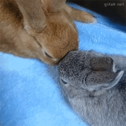tumblr_o00863S9d51qlqq7eo1_400.gif
