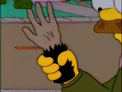 t4r646346346.gif