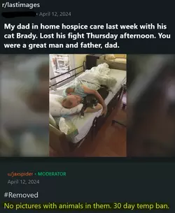 GsN01XmXAAAClgl.webp