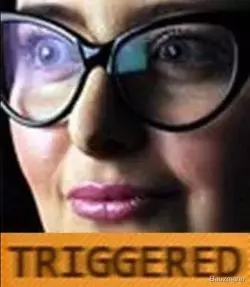 triggered.webp