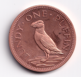 Lundy Puffin Reverse.webp