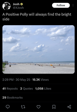 Screenshot_20250531_122436_X.webp