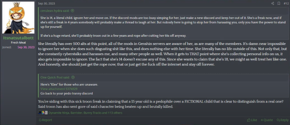 Sperging About Genshin and Punk Alting.webp