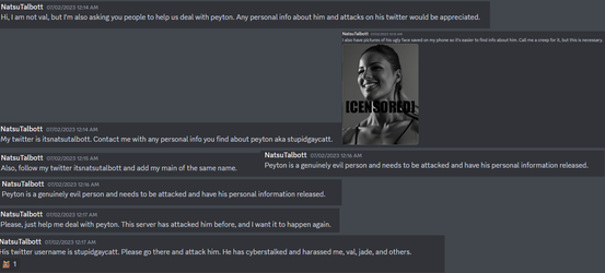 Talbott's Discord Seething About Punk.webp