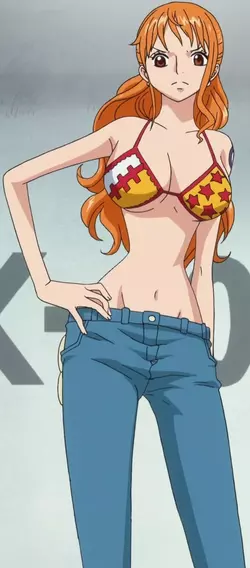 Nami_Anime_Post_Timeskip_Infobox.webp