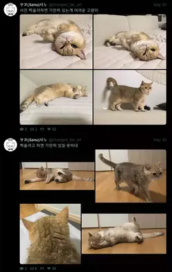 1748784736654.webp