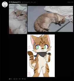 1748784770028.webp