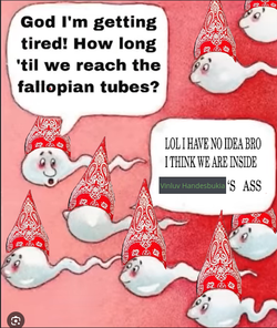 Screenshot from 2025-06-01 08-36-13.webp