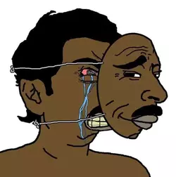 456789845_1339181260819838_2729512089098764619_n.webp