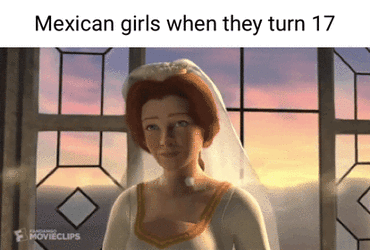 This isn't a meme.gif