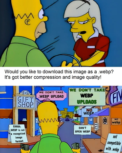 1748725611352666.webp