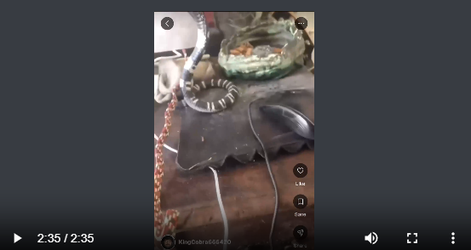Screenshot 2025-06-01 124517.webp