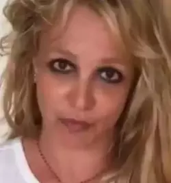 1748812743072.webp