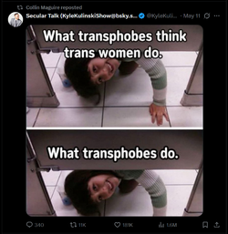 transphobes.webp