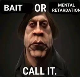 bait_or_retardation.webp