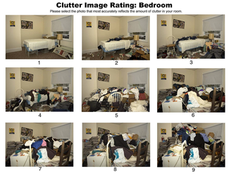 hoarder scale.webp