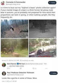 bear.webp