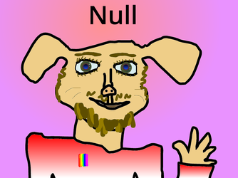 null.webp